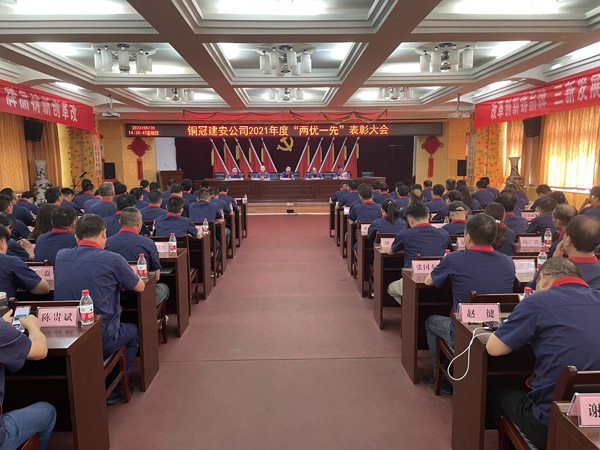 公司召開“兩優(yōu)一先”表彰大會(huì)